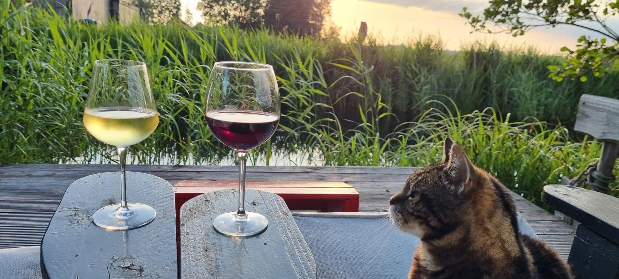 Slapen Bij Bonanza Villa Bantega Kültér fotó